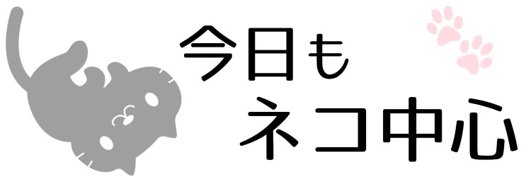 今日もネコ中心